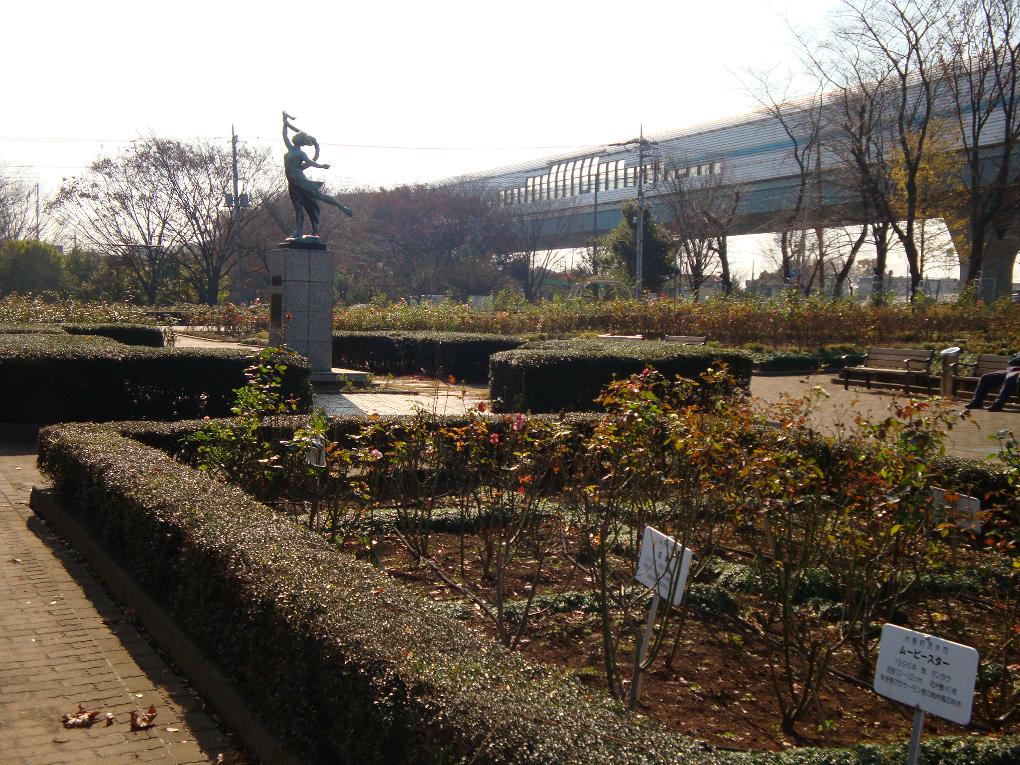 与野公園のバラ花壇（冬の撮影）