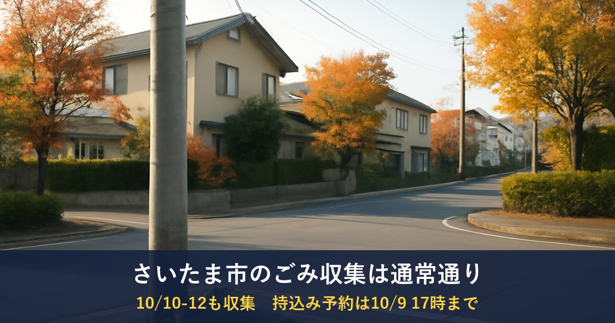 秋の住宅街の一般的な情景